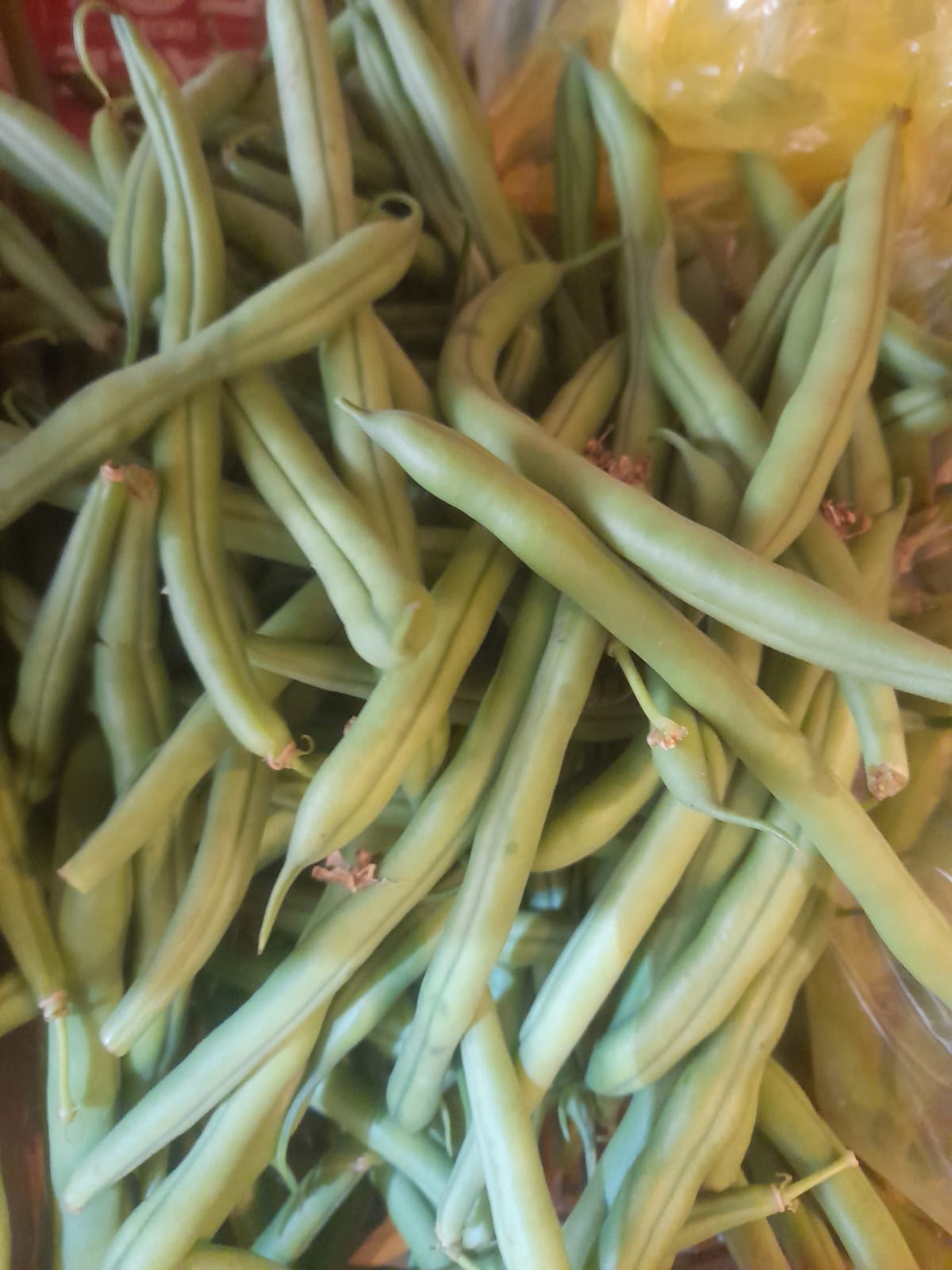 Organic Ring Beans - 250g