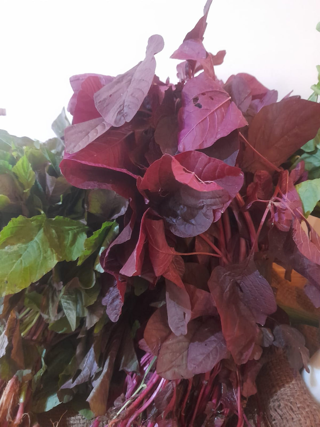Organic Amaranthus/Dantu Red- 1 Bunch
