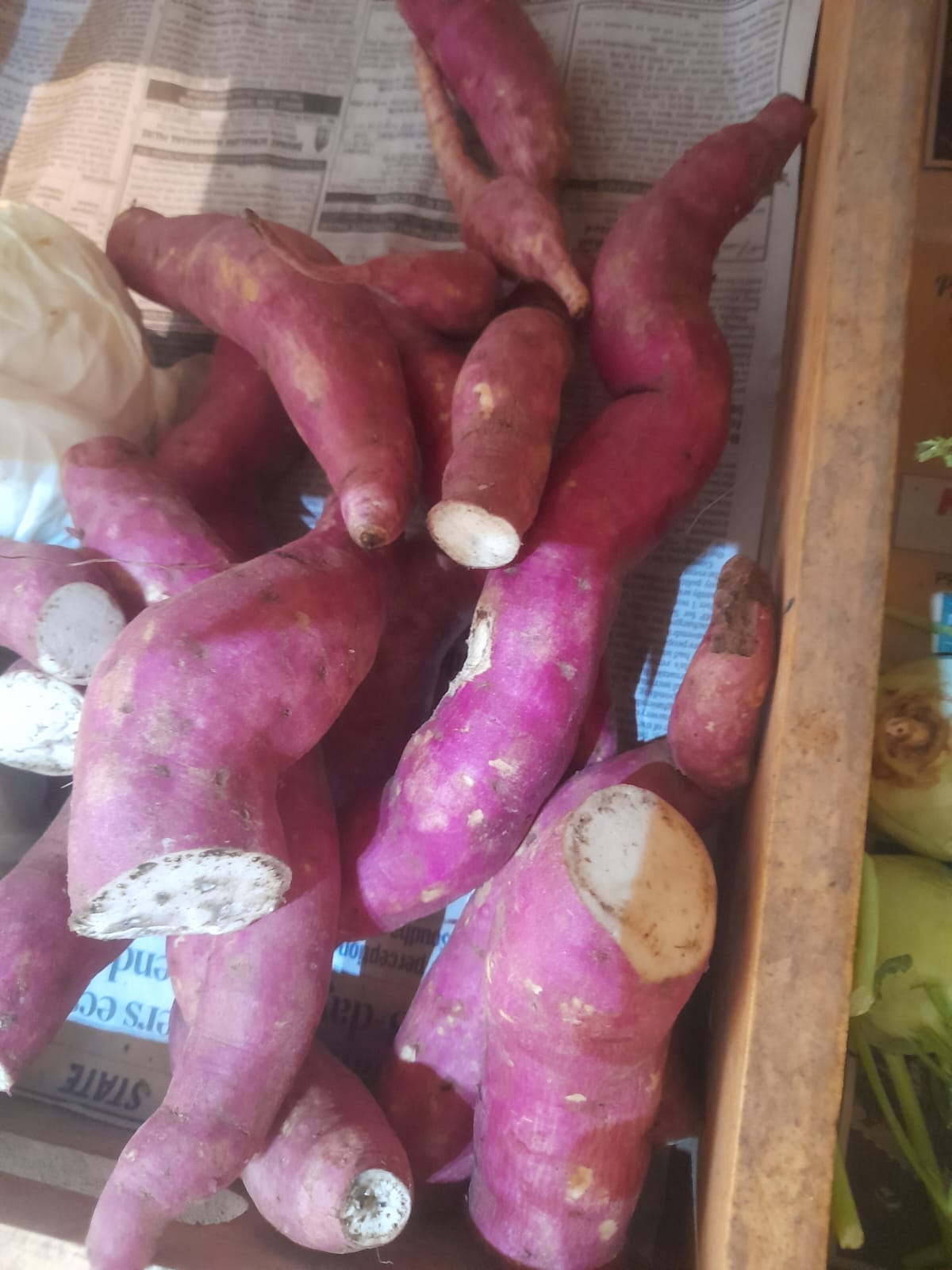 Organic Sweet Potato - 500g
