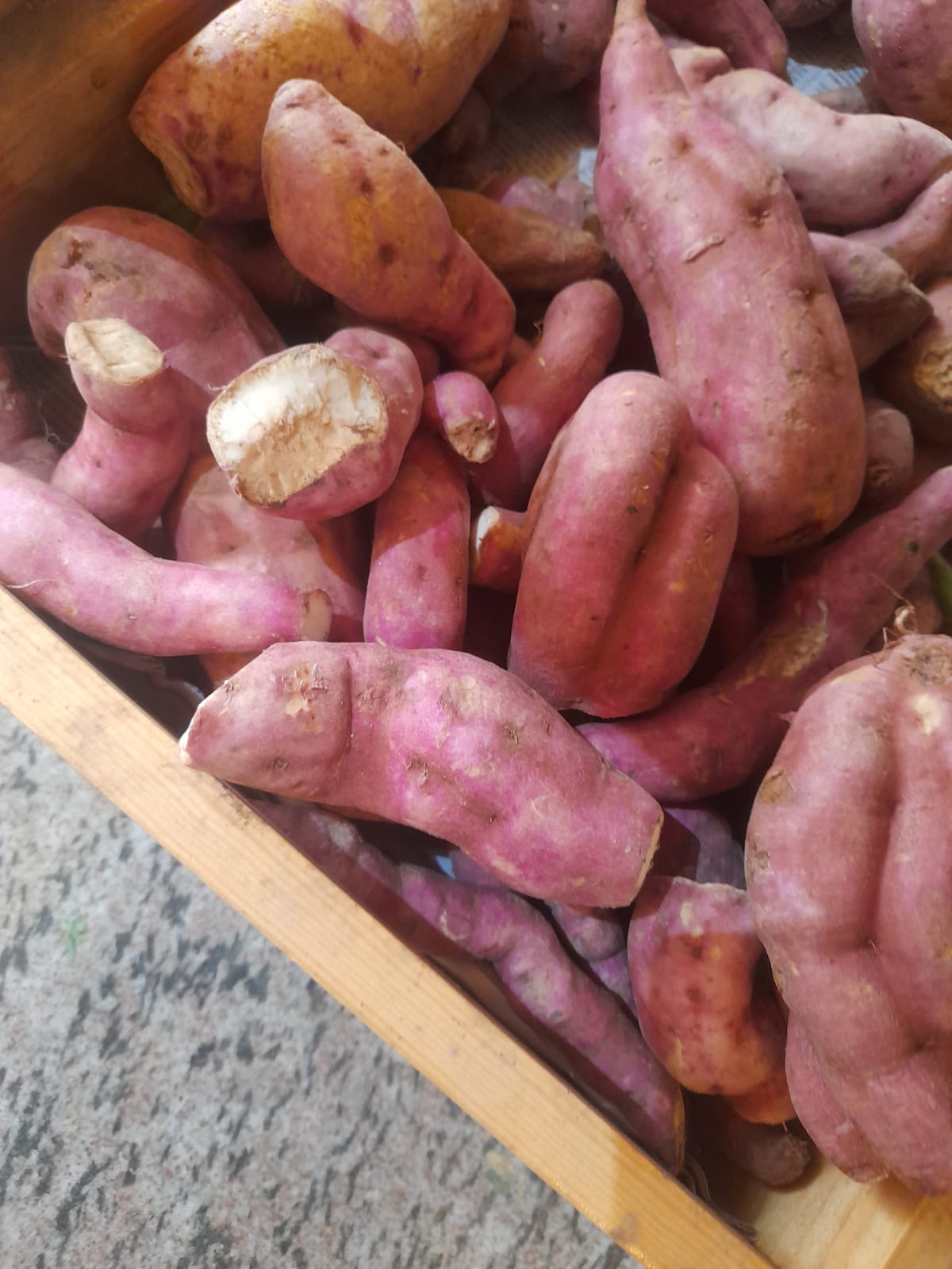 Organic Sweet Potato - 500g