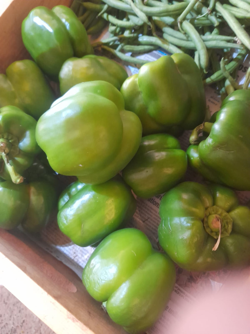 Organic Capsicum Green - 250g