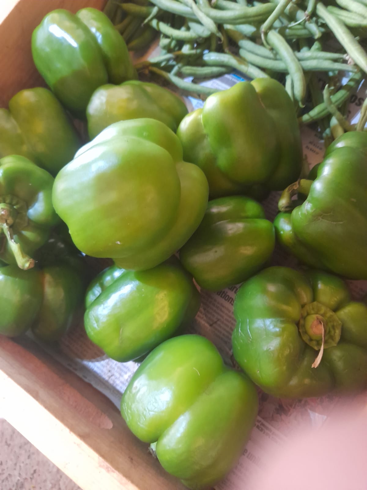 Organic Capsicum Green - 250g