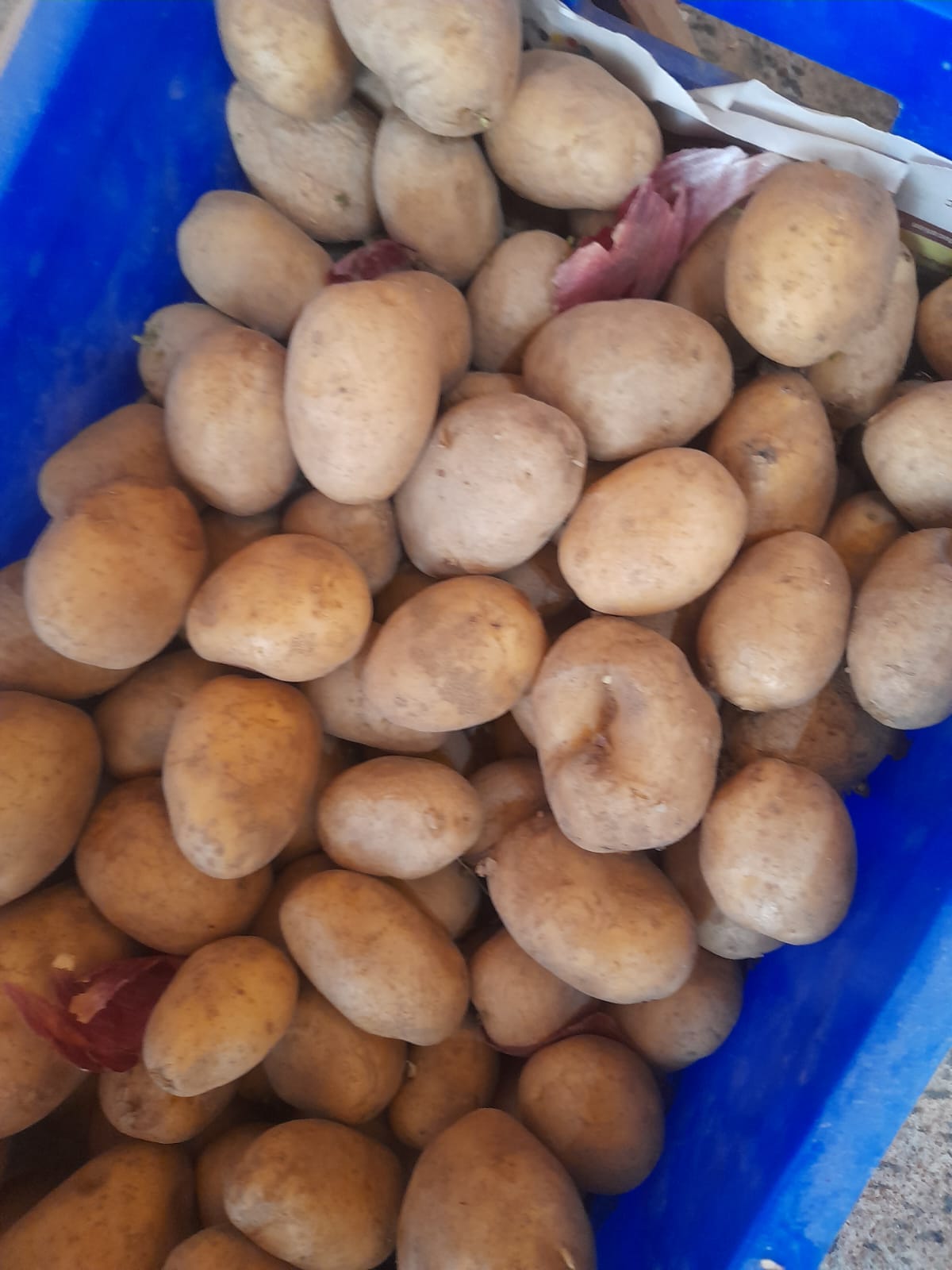 Organic Potato(Ooty) - 1kg