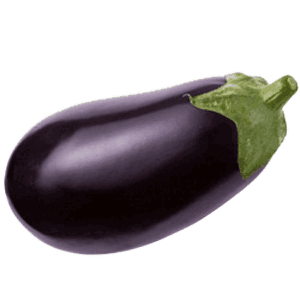 Organic Bottle Brinjal - 500g