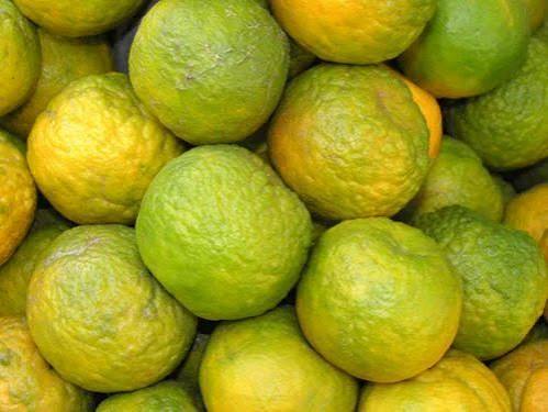Organic Orange Nagpur - 500g