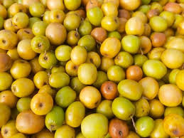 Organic Indian Jujube/ Ber Apple - 500g