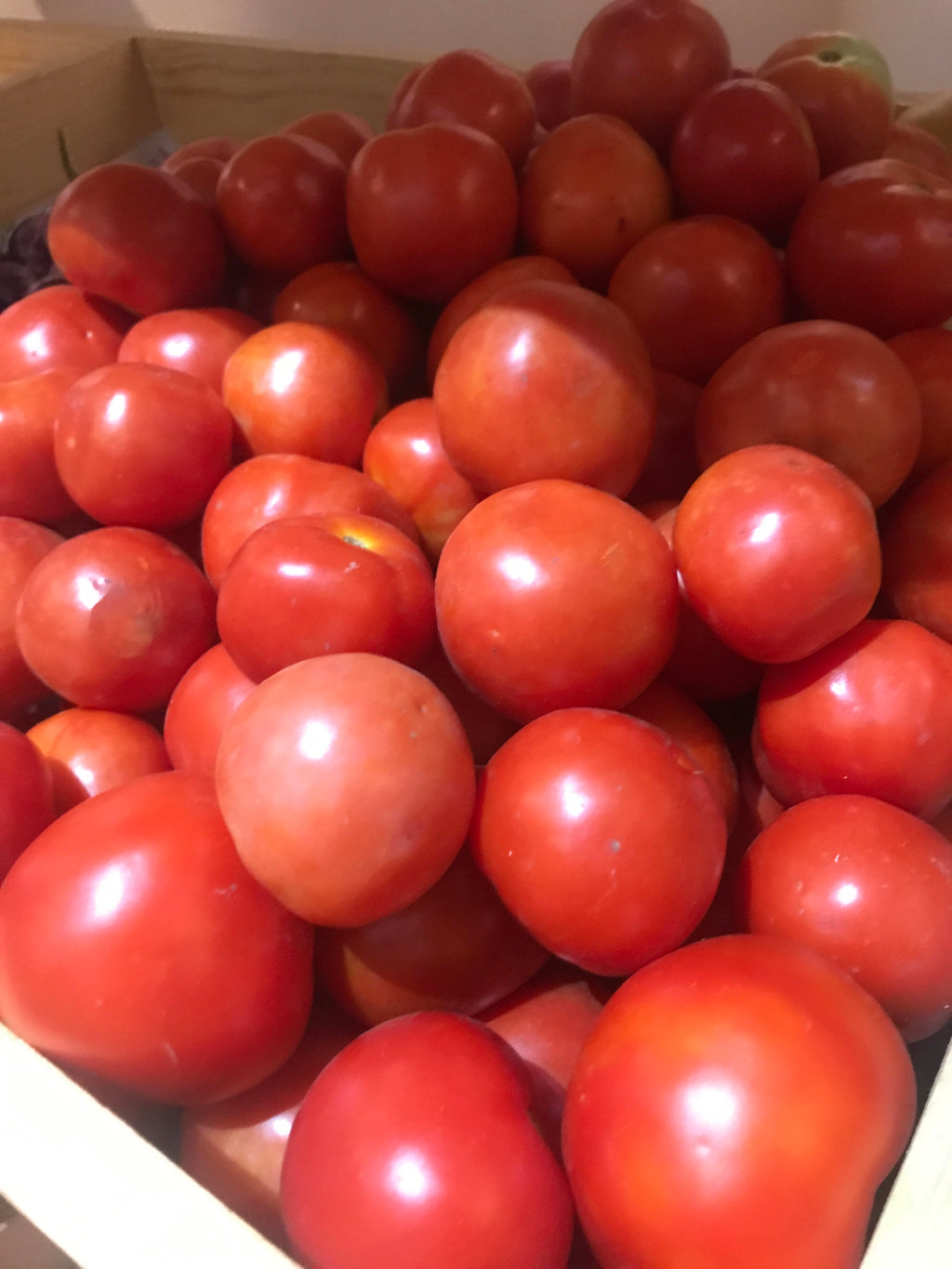 Organic Tomato Nati - 1kg