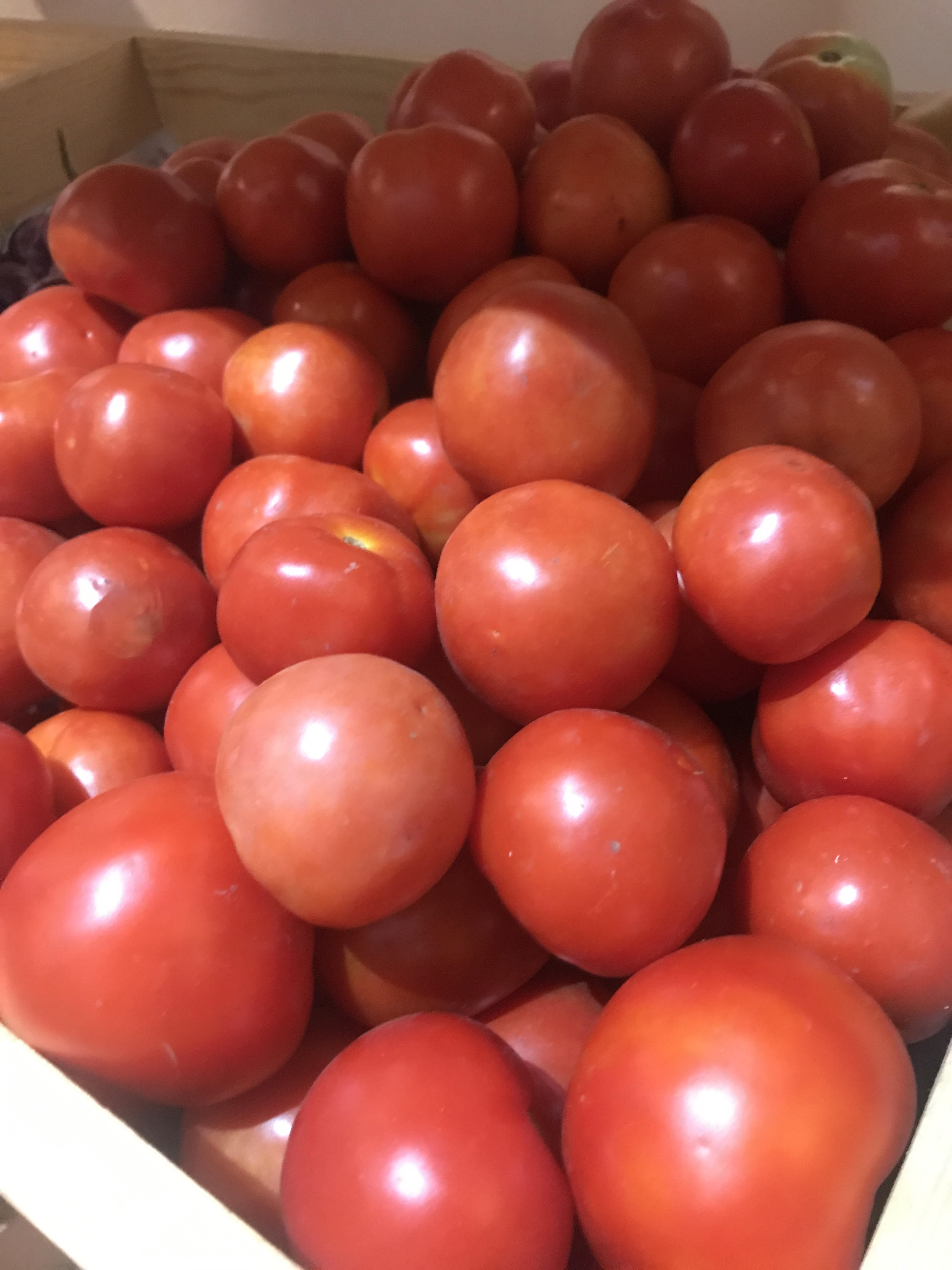 Organic Tomato Nati - 500 g